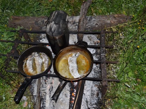 Вечерком у костра