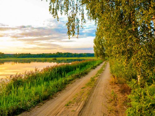Перед утиной охотой.