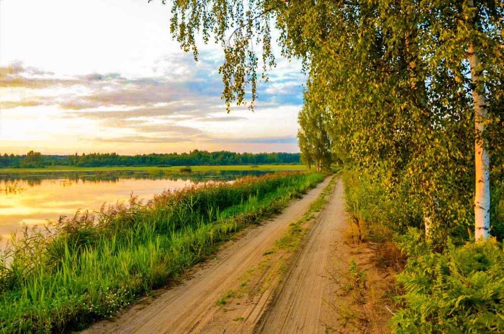 Перед утиной охотой.