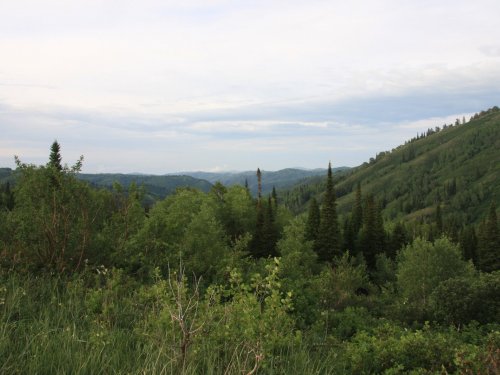 Алтай