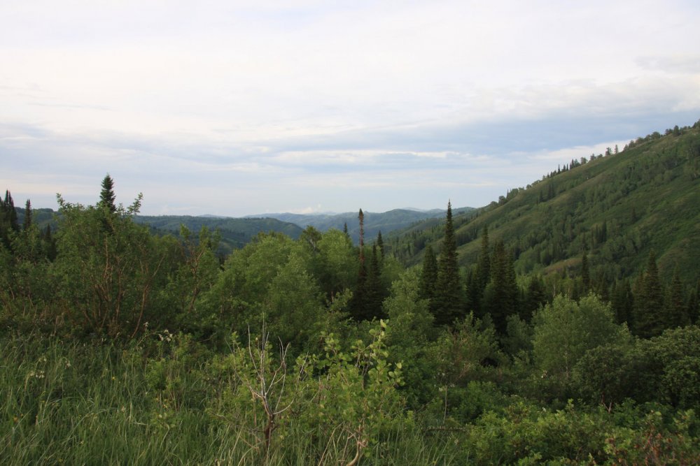 Алтай