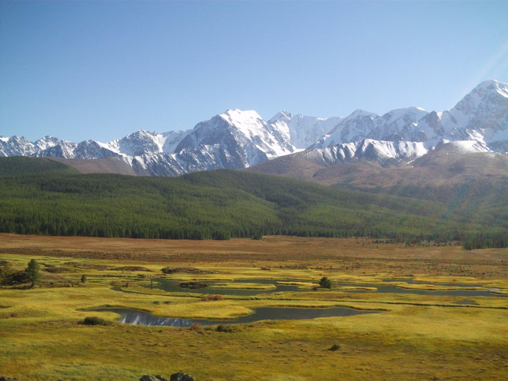 Алтай.