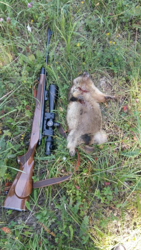 Сузунский р-н. 06.08.16