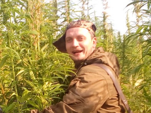 продам зеленый чай......много.....дорого....))