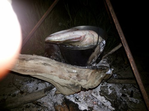 Ушица получилась вкусная!!!