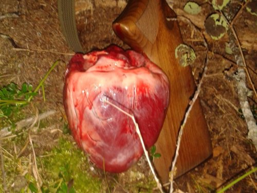 Сердце зверя