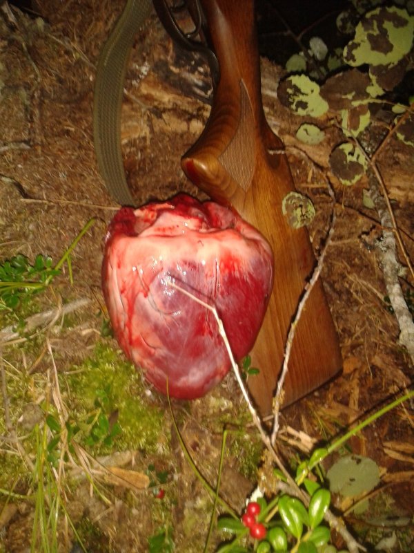 Сердце зверя