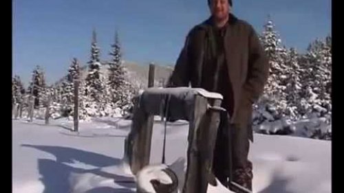 С чистого листа  Лесные байки
