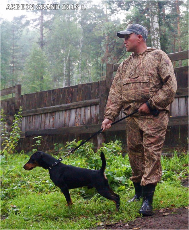 ГРАНД - 15 месяцев.
