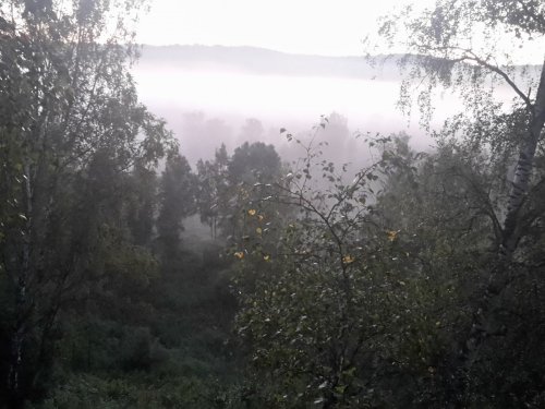 Утро