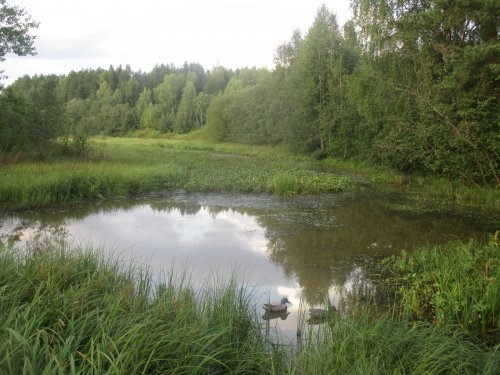 Открытие по водоплавающей