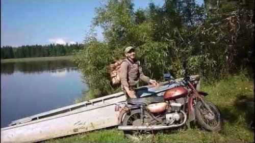 В тайгу за орехами