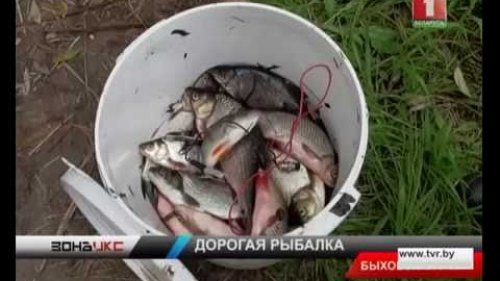 Рыбалка электроудочкой дорого обойдется браканьерам. Зона Х