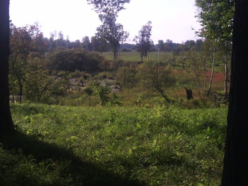 Залесово 2016