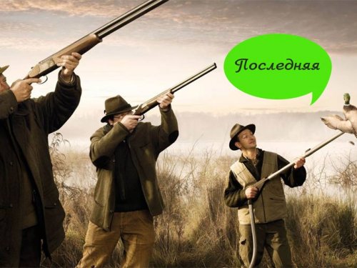 О таких сроках охоты можно только мечтать