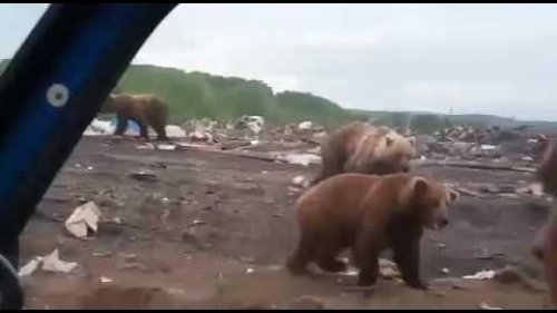 свалка в Мурманске