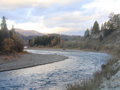 Алтай, река Кокса