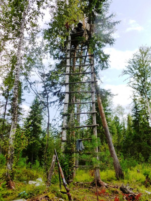 лабаз