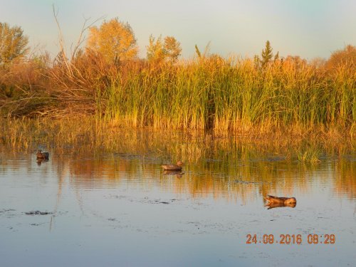 "Семерочкой" с выстрела.