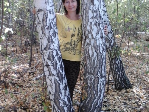 моя красавица