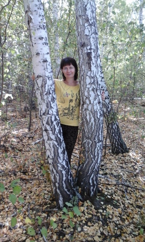 моя красавица
