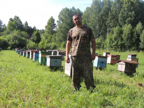 Лето пасека 2