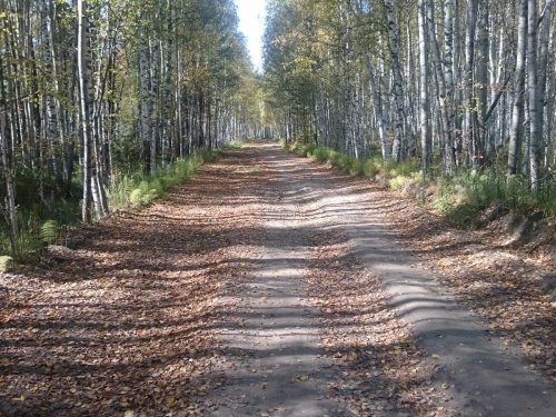 Начало золотой осени