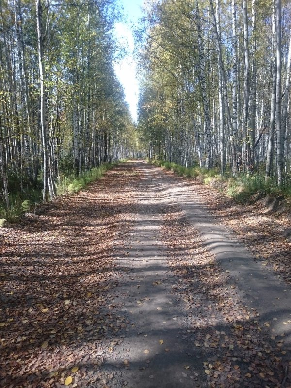 Начало золотой осени