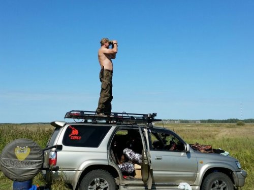 где-то там утки...