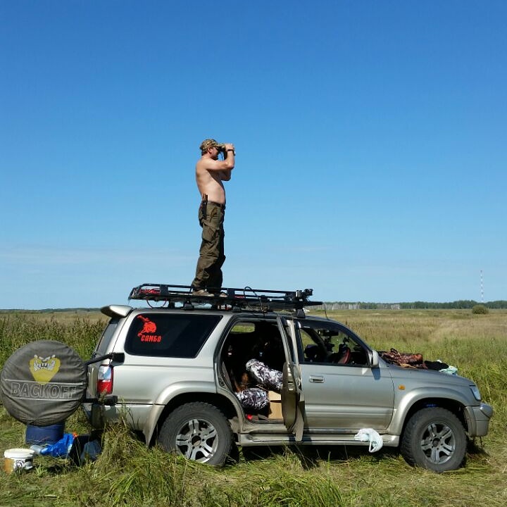 где-то там утки...