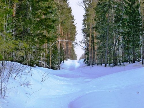 Запахло весной