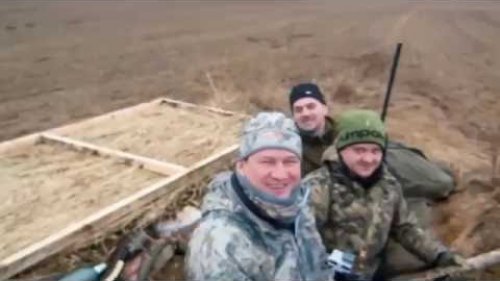 Охота на гусей  в России весной 2016 года