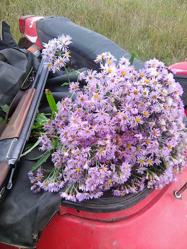 Что за цветы?