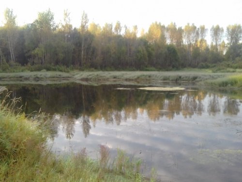 конец августа