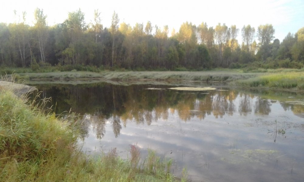 конец августа