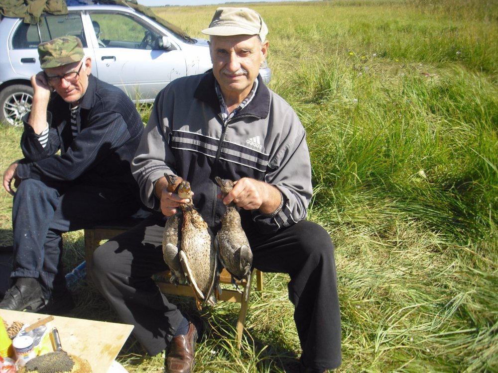 О чем задумался напарник?