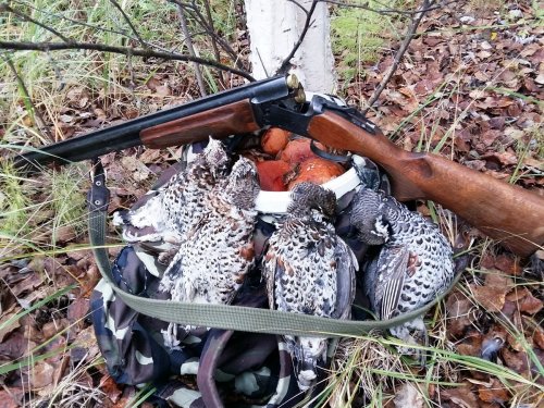 Воскресным утром