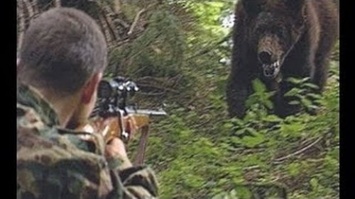 Медведи Волкова. Фильм о профессиональном охотнике.