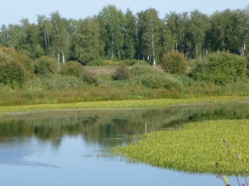 В гостях у матушке природы....