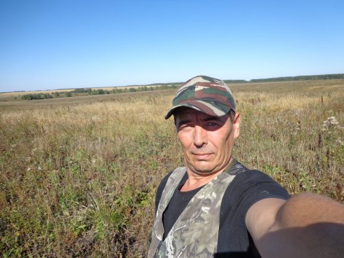 Воскресная прогулка.