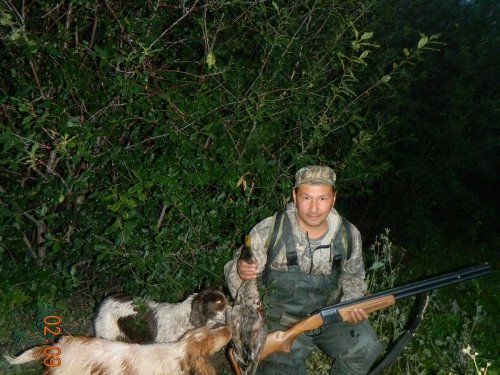 Первая охота с Греем.