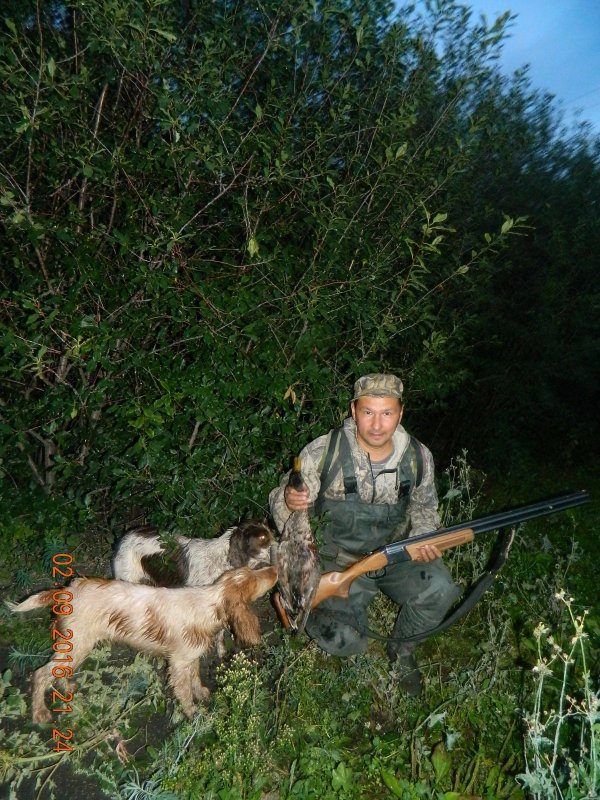 Первая охота с Греем.