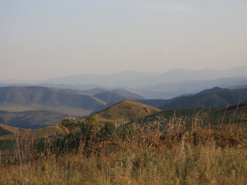 Предгорья Алтая