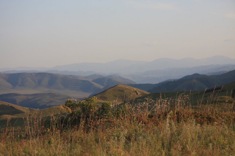Предгорья Алтая
