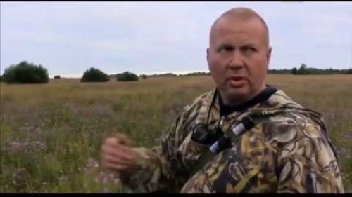 Охота на пернатых с легавыми в Тверской области