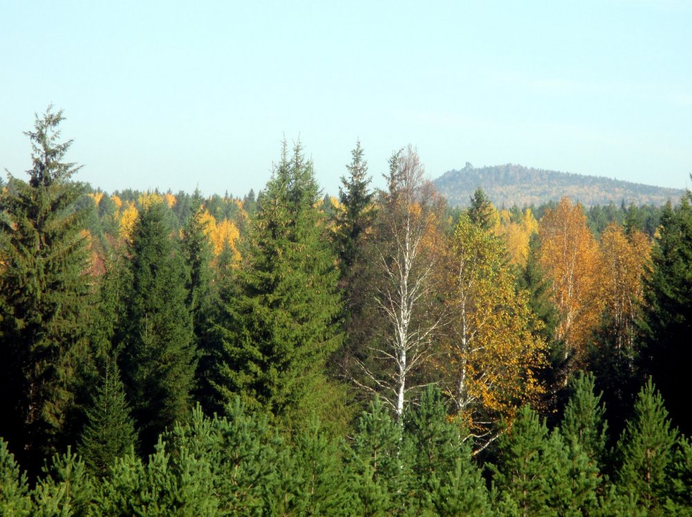 Осенний пейзаж