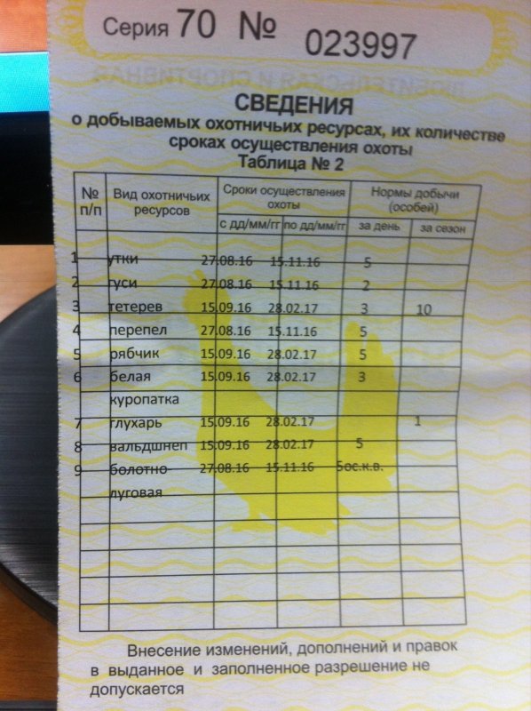 И мы не жалуемся