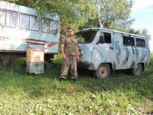 Лето пасека