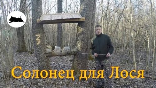 Солонец для Лося