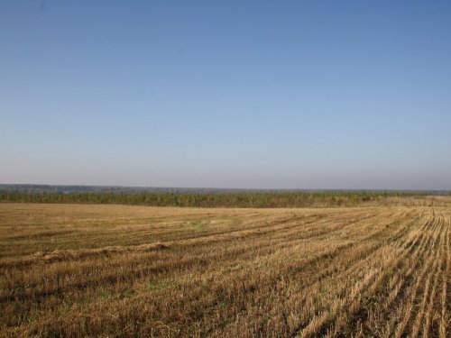 В полях красота...